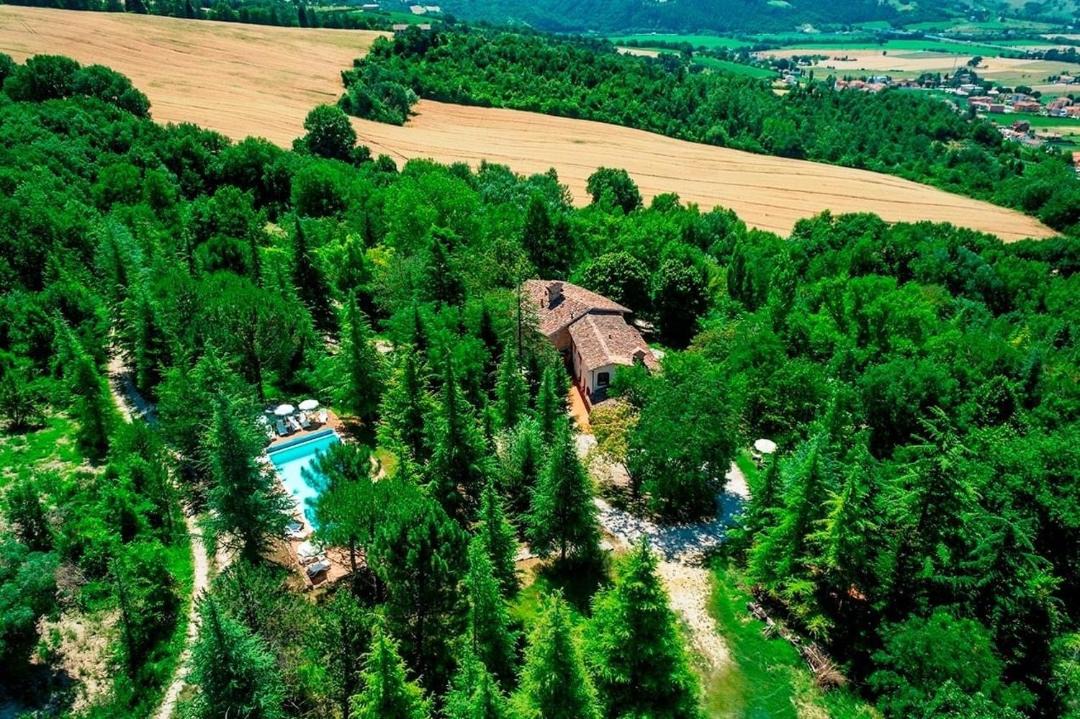 Photo of Others in Branca
