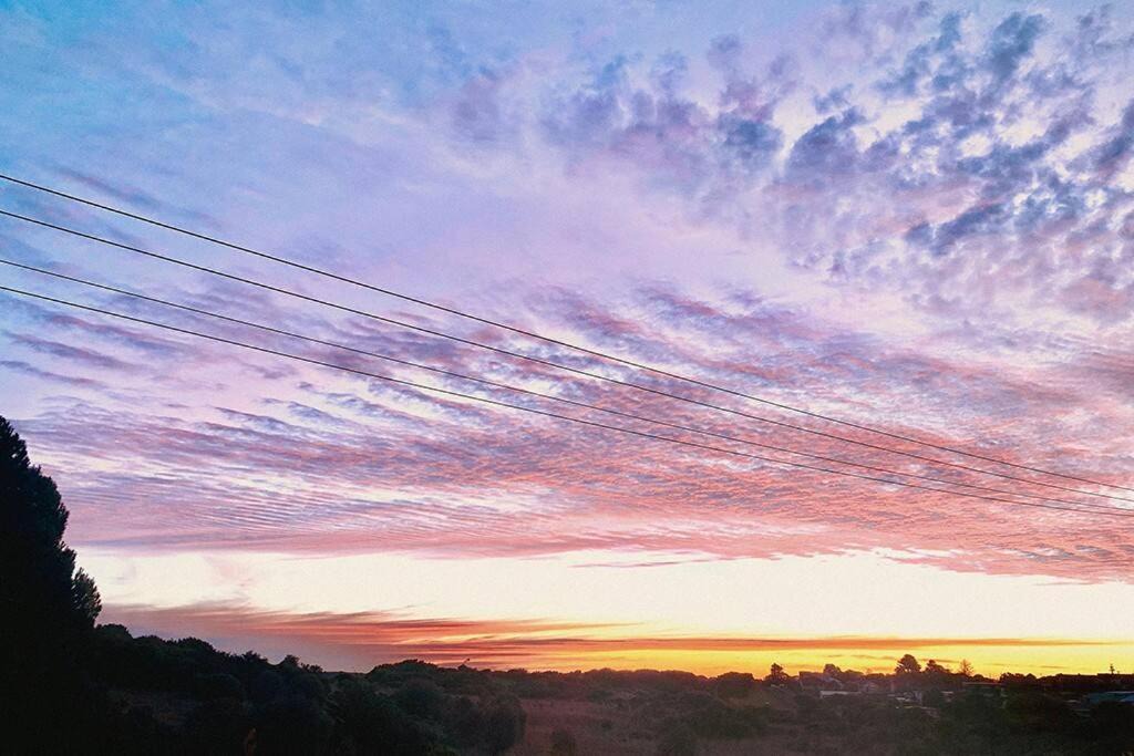 Photo of Others in Warrnambool