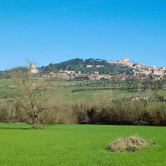 Photo of Others in Todi