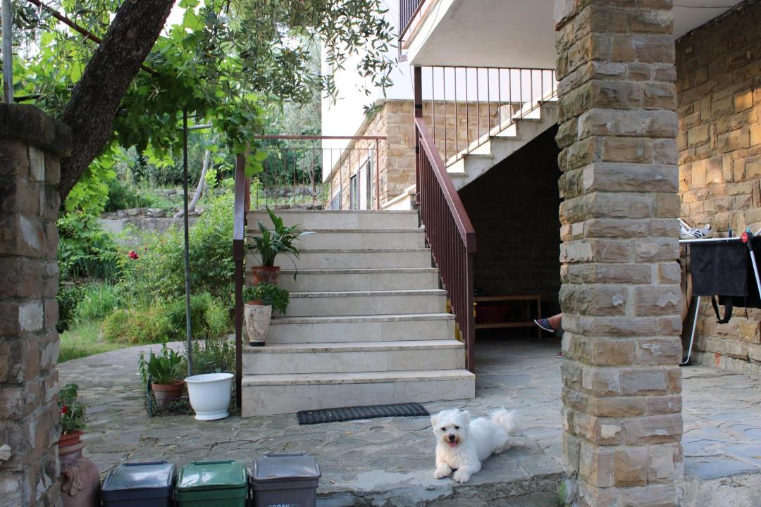 Photo of Others in Sesto Fiorentino