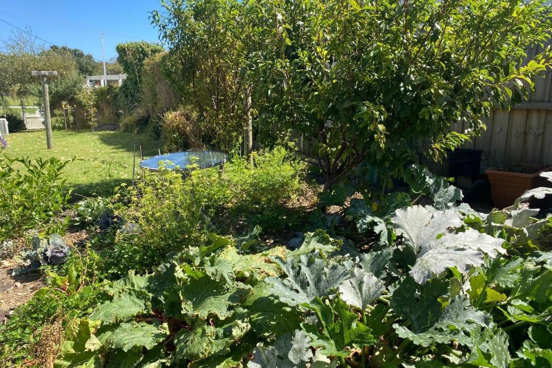 Photo of Others in Wonthaggi