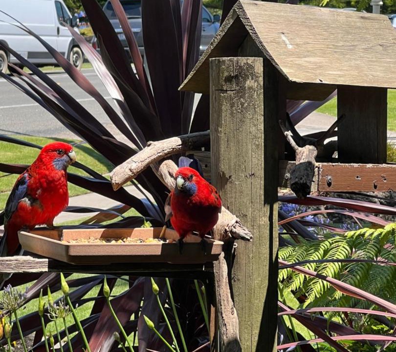 Photo of Others in Lakes Entrance