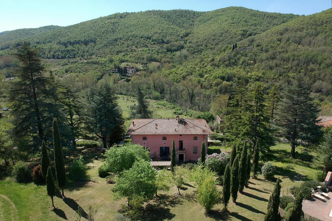 Photo of Others in Lucarelli