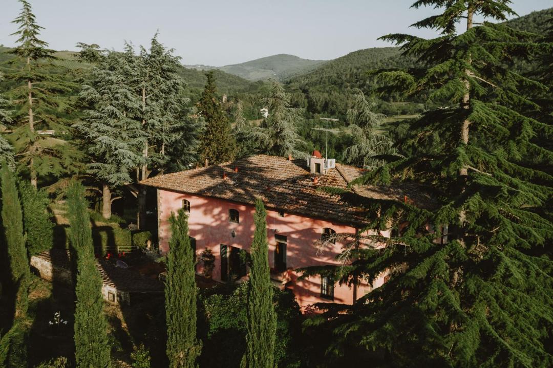 Photo of Others in Lucarelli