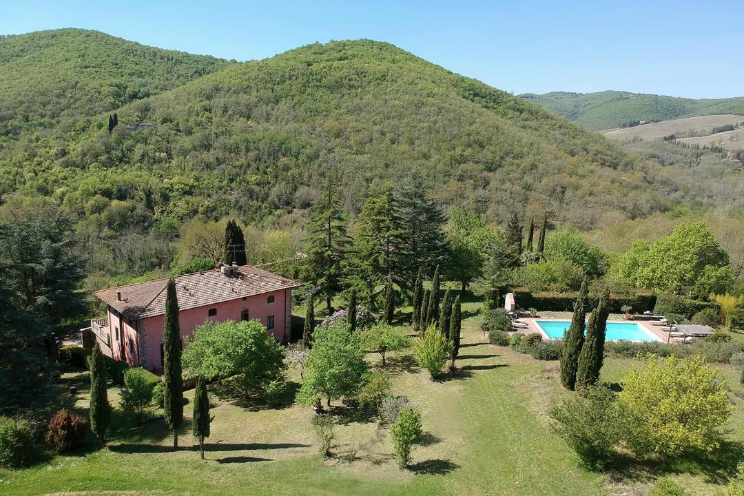 Photo of Others in Lucarelli