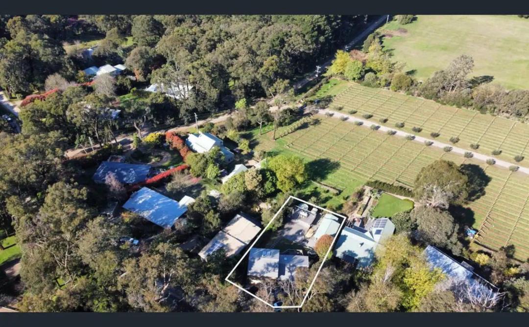 Photo of Others in Red Hill South