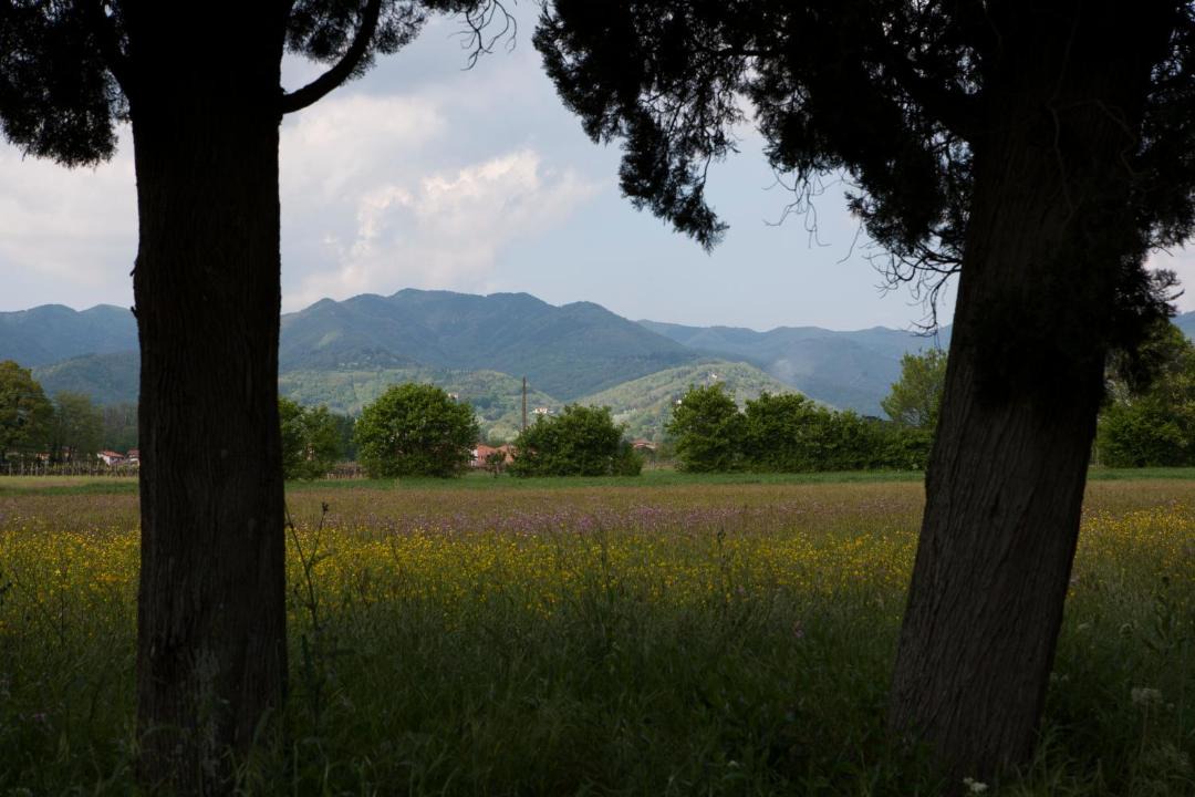 Photo of Others in Borgo San Lorenzo