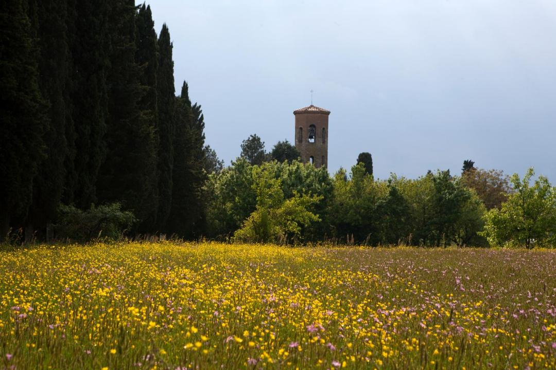 Photo of Others in Borgo San Lorenzo
