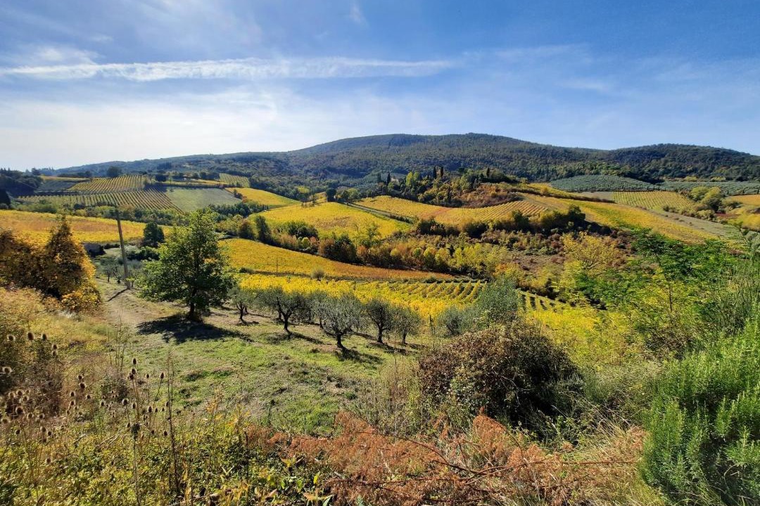 Photo of Others in San Gimignano