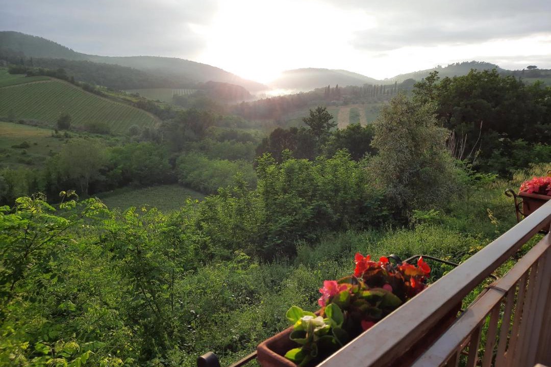 Photo of Others in San Gimignano