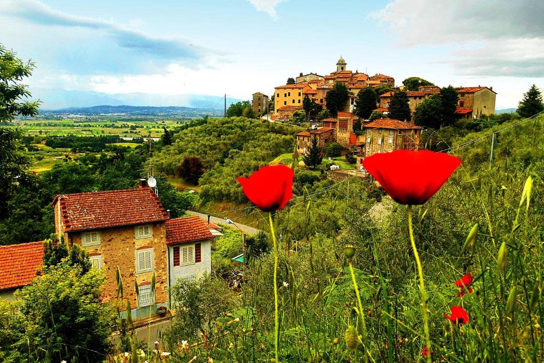 Photo of Others in Castelvecchio