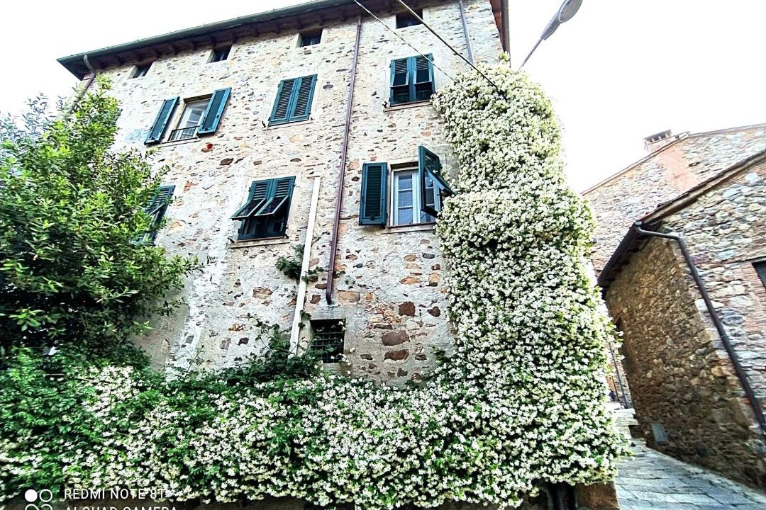 Photo of Others in Castelvecchio