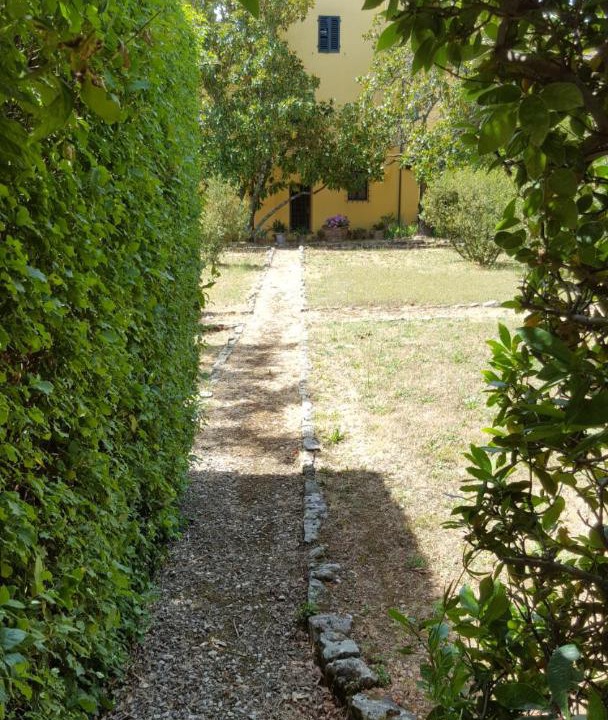 Photo of Others in Oltrarno
