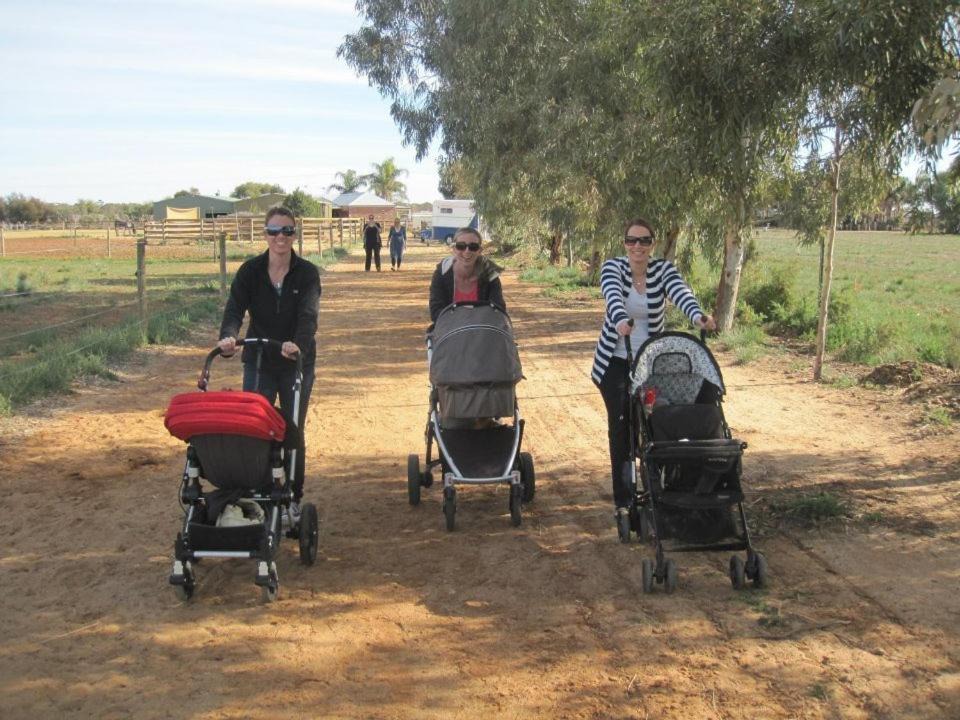 Photo of Others in Cabarita