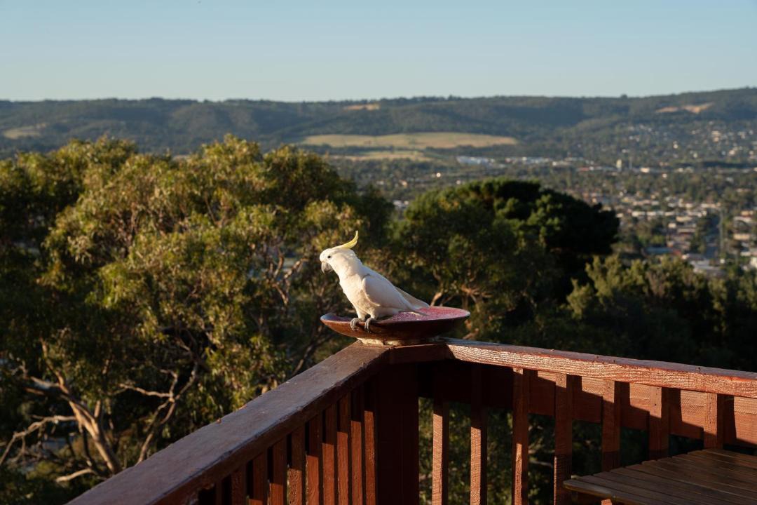 Photo of Others in Mount Martha