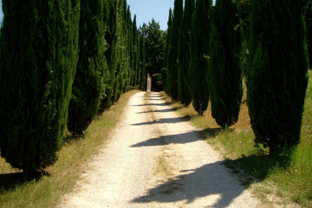 Photo of Others in Bevagna