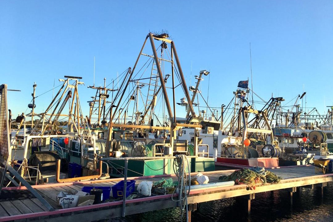 Photo of Others in Lakes Entrance