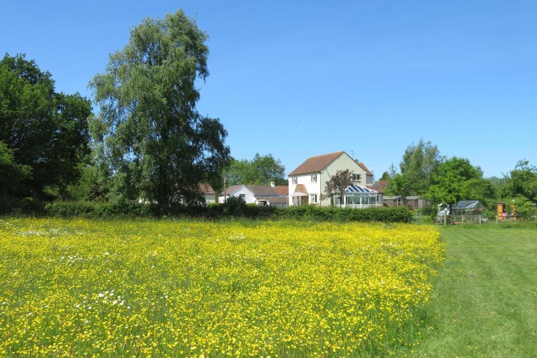Photo of Others in Coalpit Heath