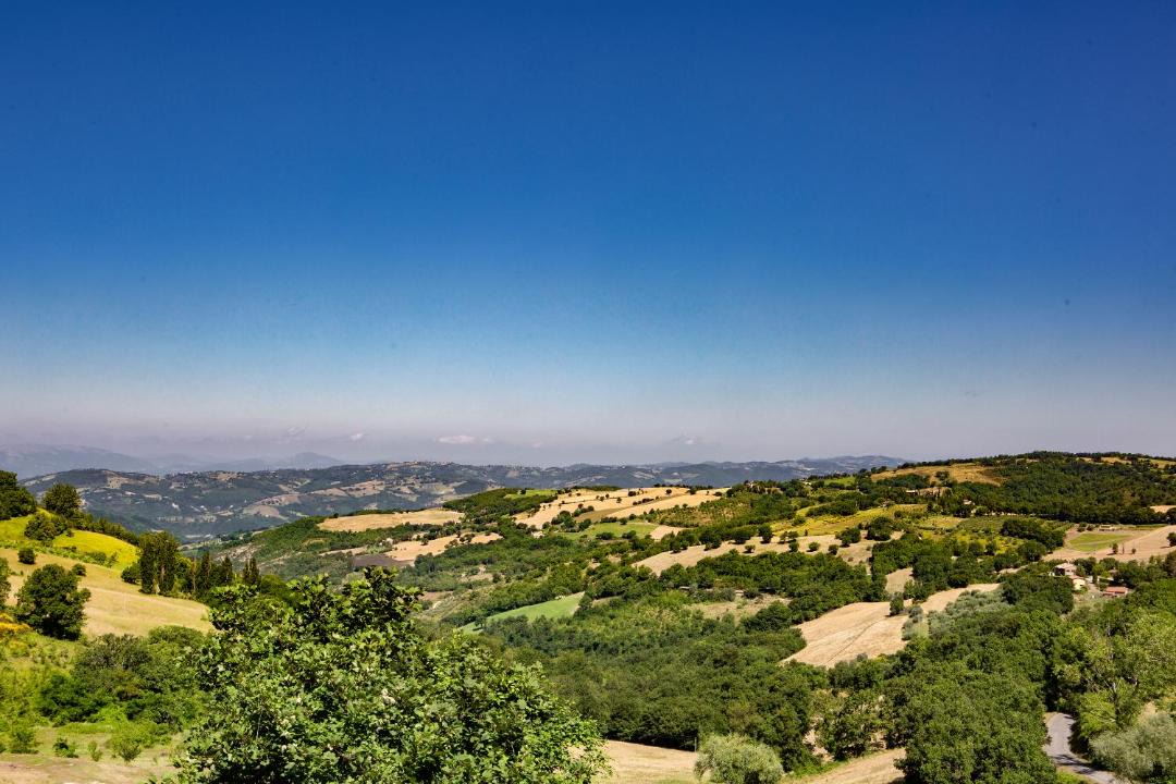 Photo of Others in San Presto