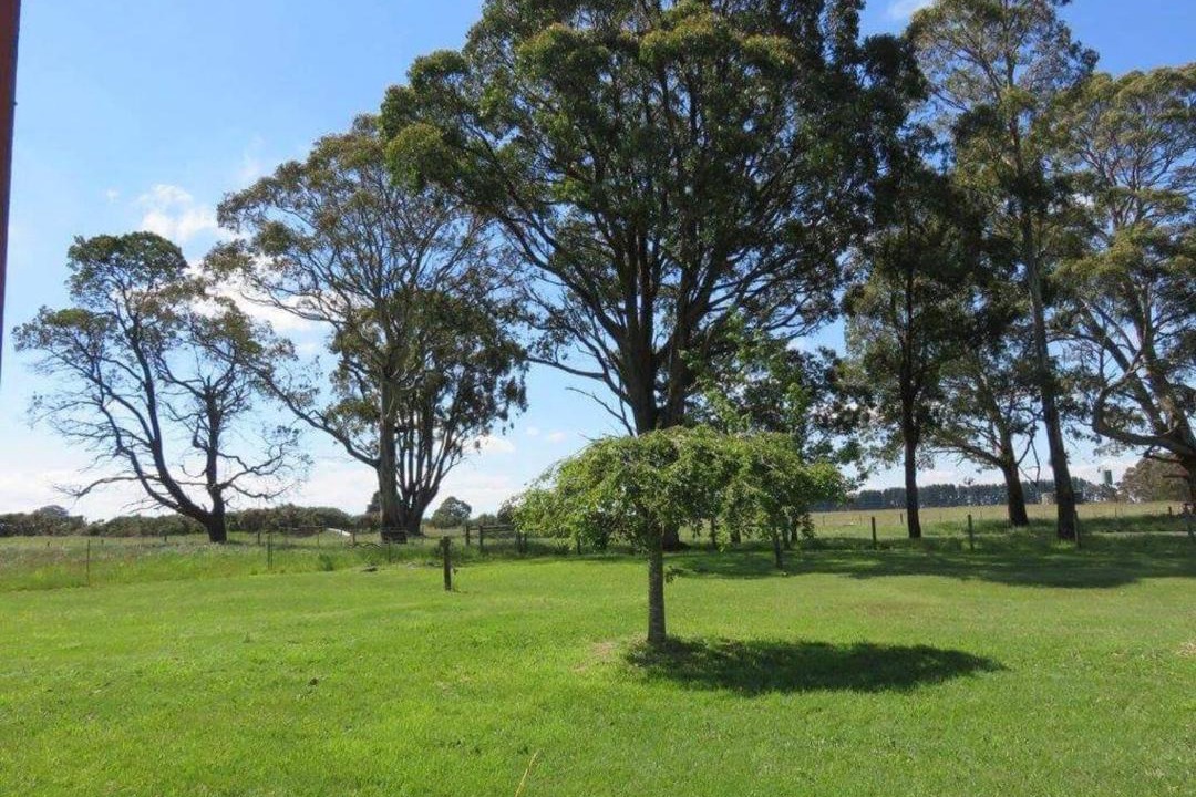 Photo of Others in Trentham East
