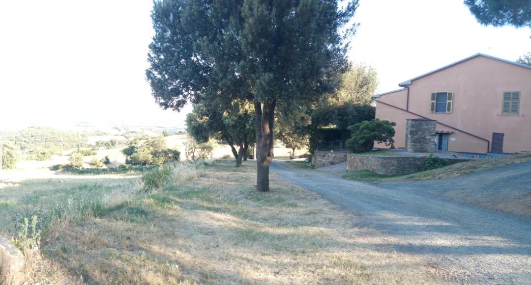 Photo of Others in Campagnatico
