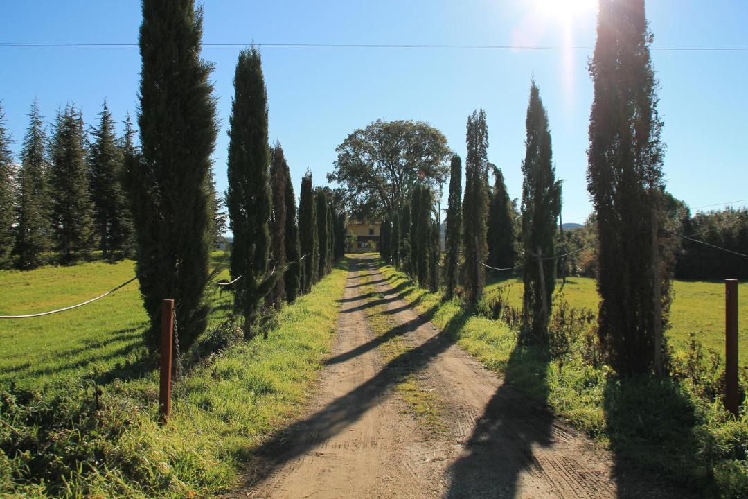 Photo of Others in Manciano