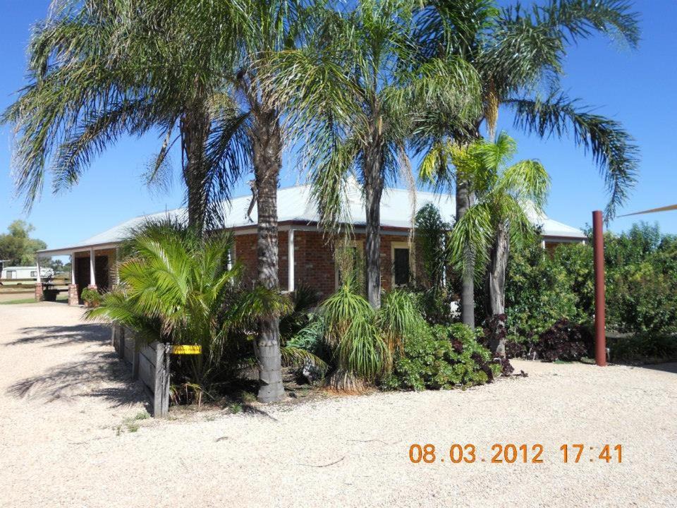 Photo of Others in Cabarita