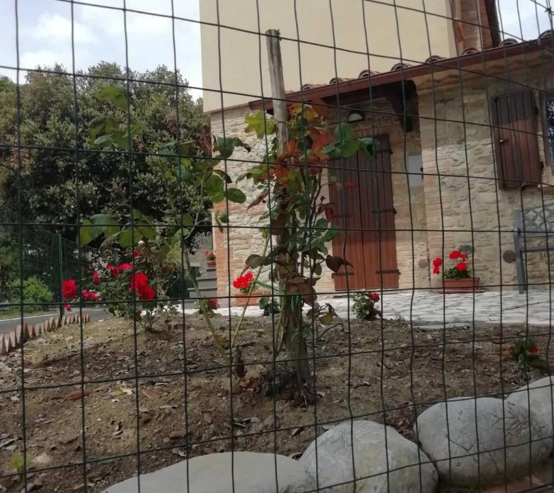 Photo of Others in Monteleone d'Orvieto