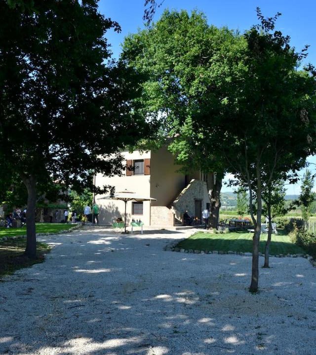 Photo of Others in Ficulle