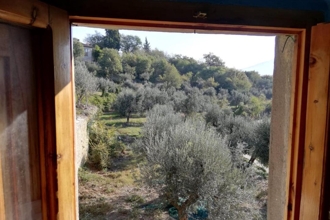 Photo of Others in Calenzano