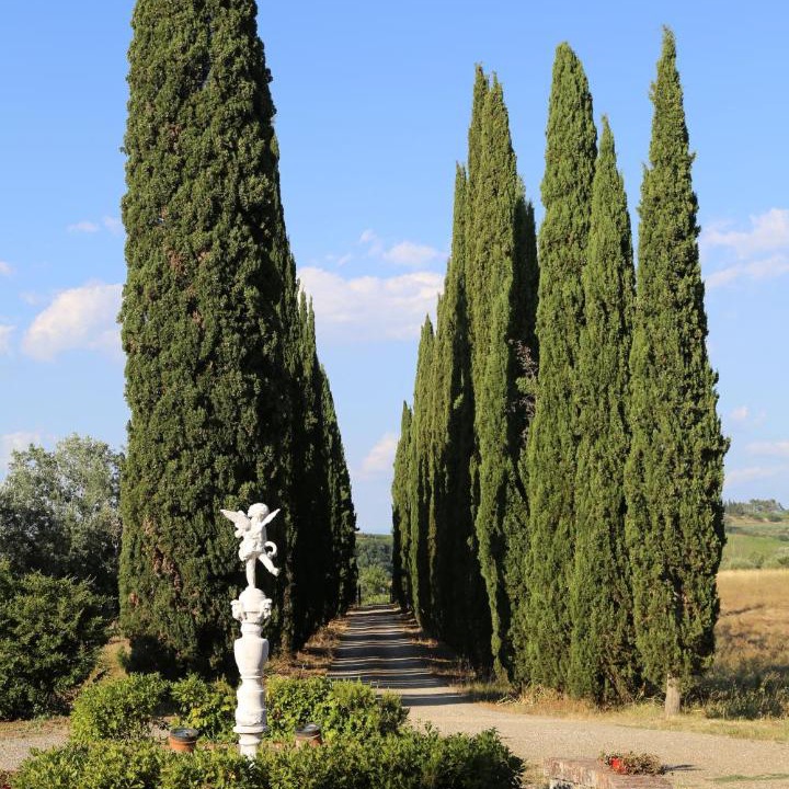 Photo of Others in Montespertoli