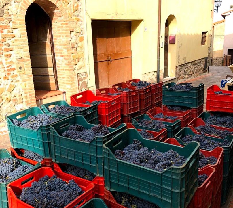 Photo of Others in Orciatico