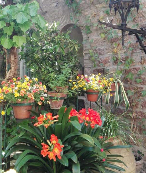 Photo of Others in Assisi