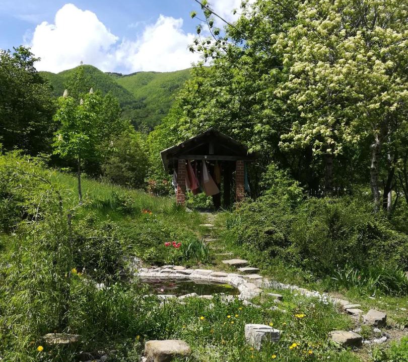 Photo of Others in Roncoscaglia