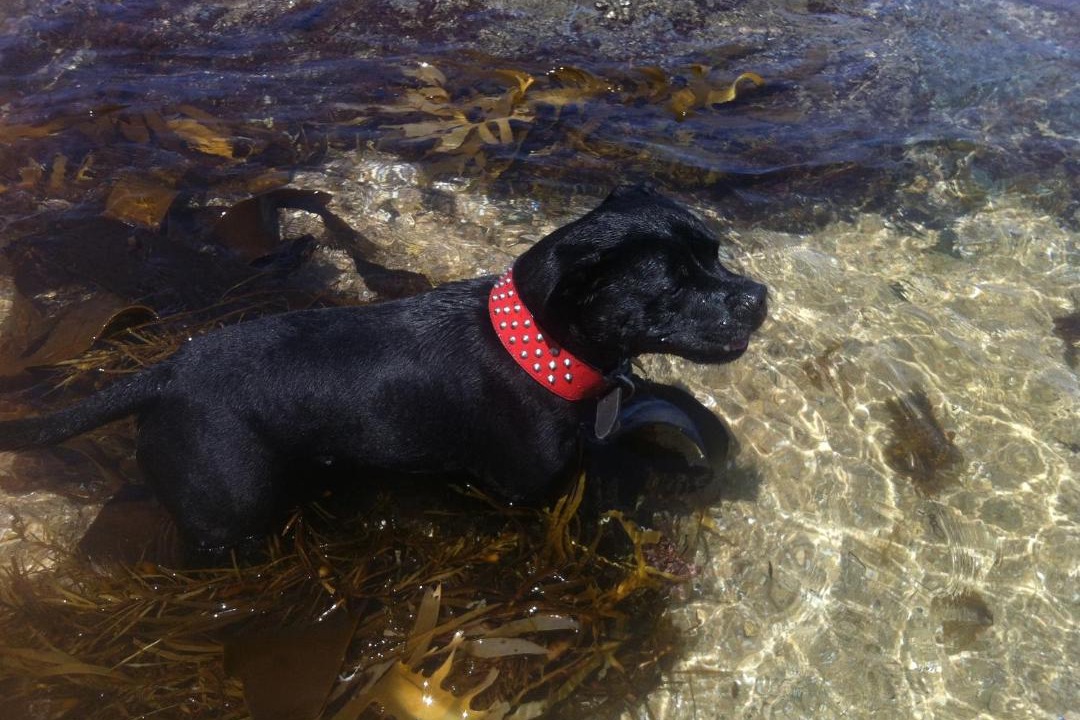 Photo of Others in Kilcunda