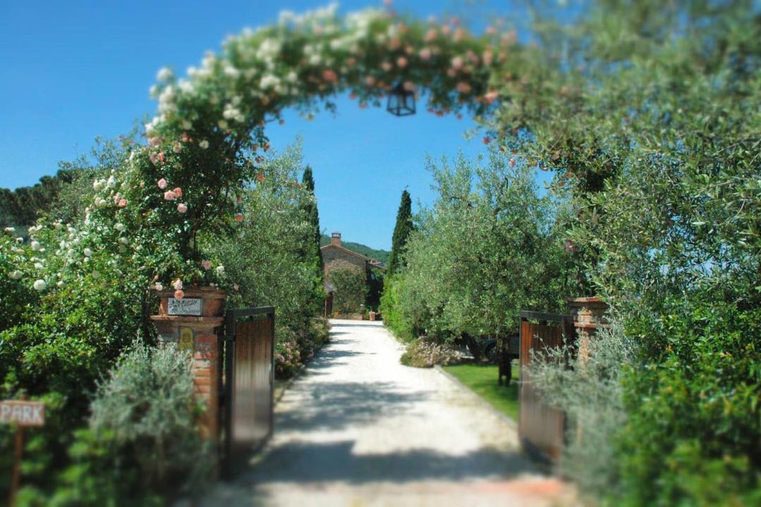 Photo of Others in Paciano