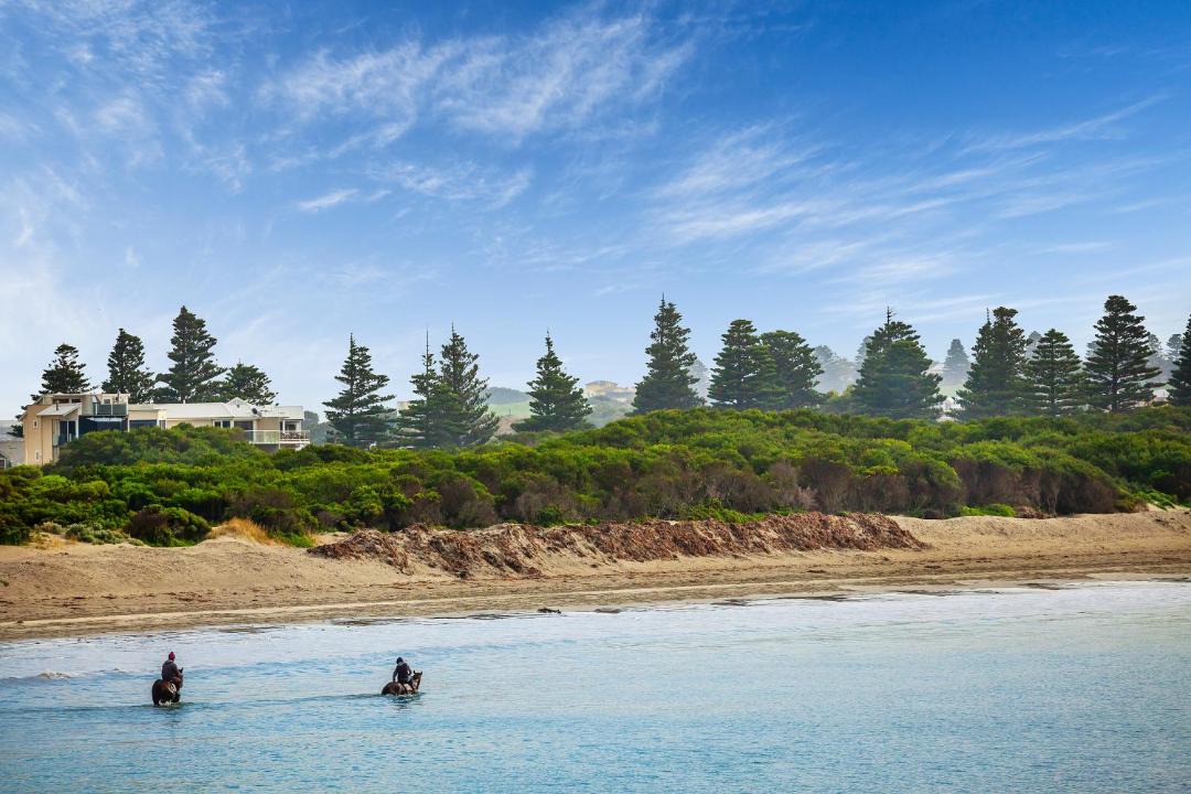 Photo of Others in Warrnambool