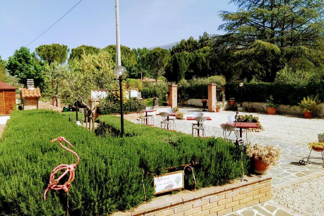 Photo of Others in Spello