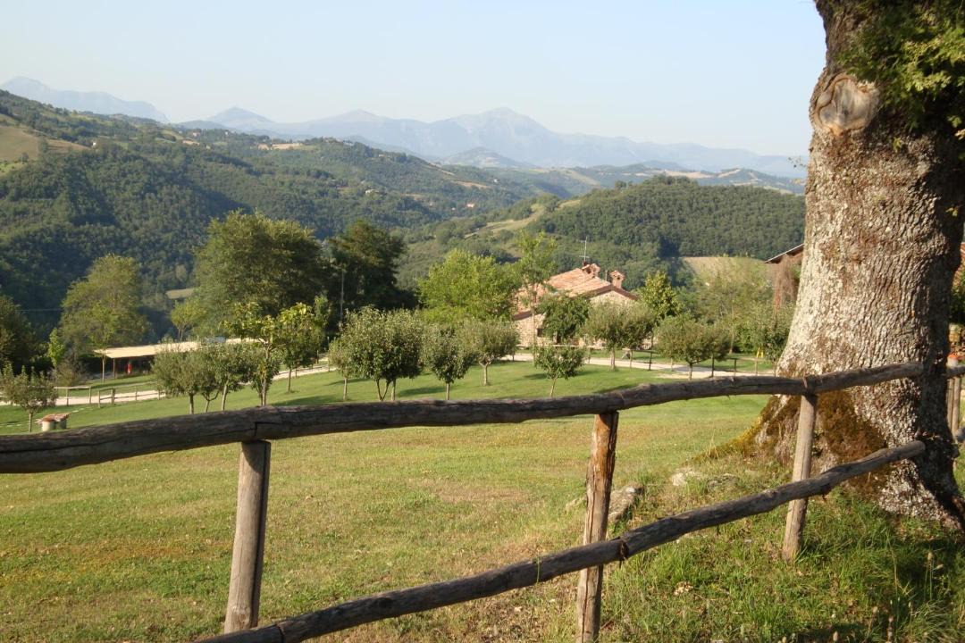 Photo of Others in Monteluiano