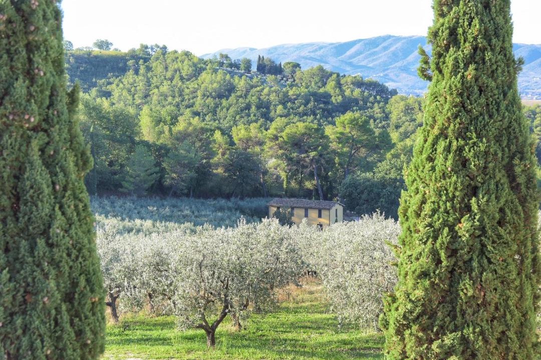 Photo of Others in Bevagna