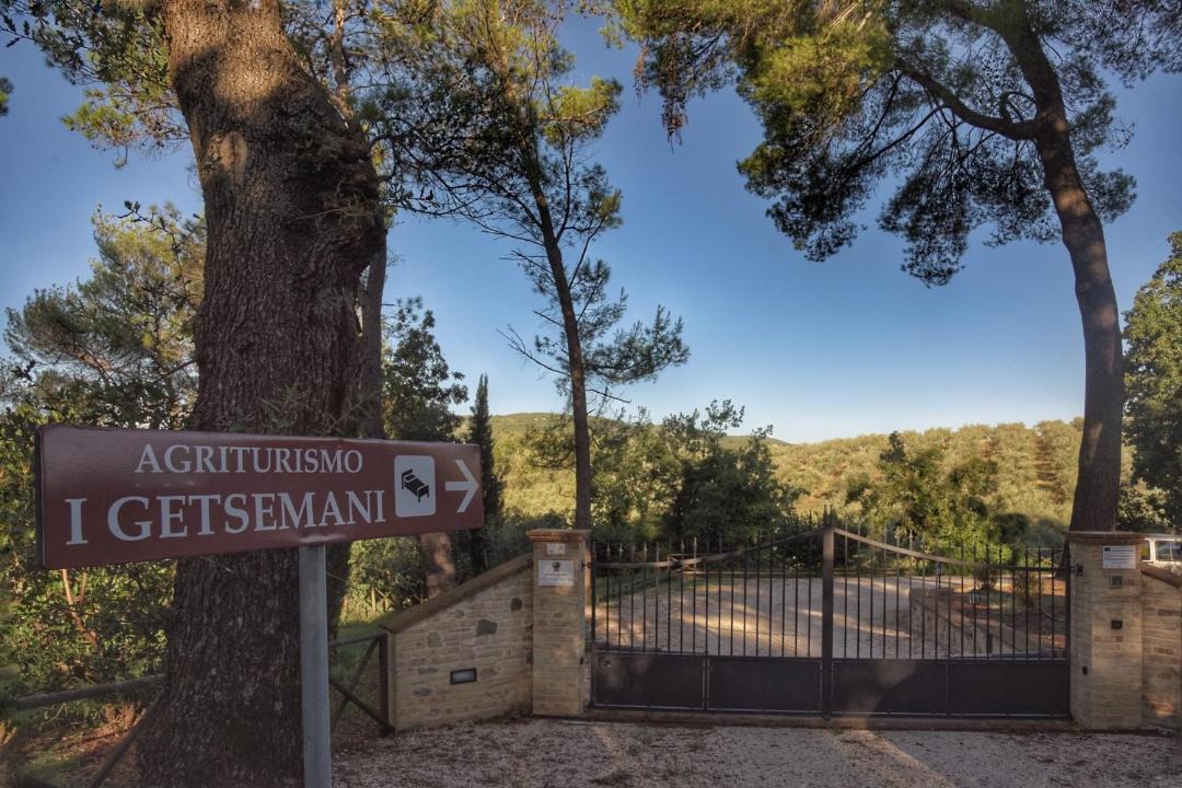 Photo of Others in Bevagna