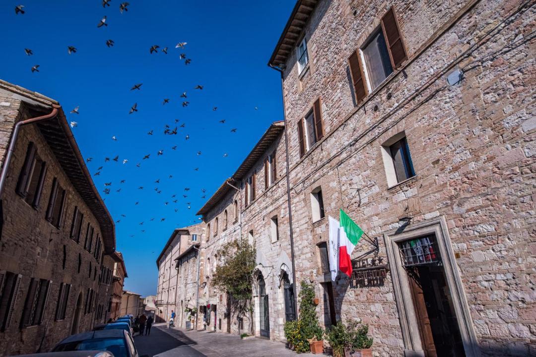 Photo of Others in Assisi