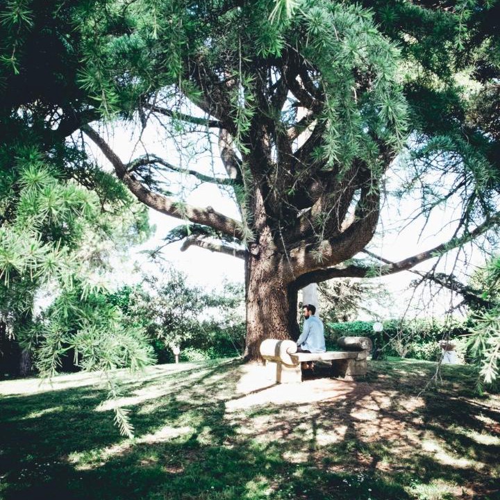 Photo of Others in San Martino in Campo