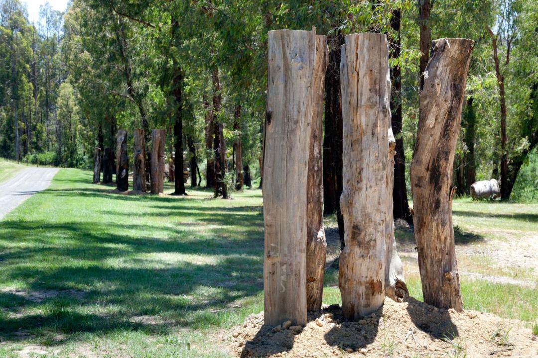 Photo of Others in Narbethong