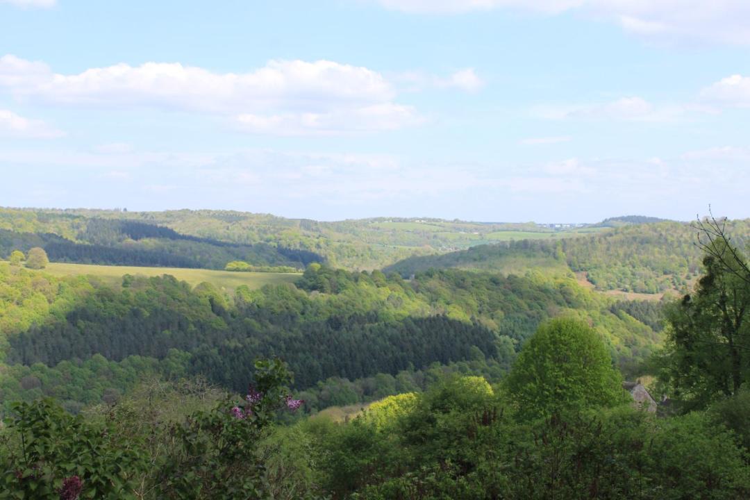 Photo of Others in Redbrook