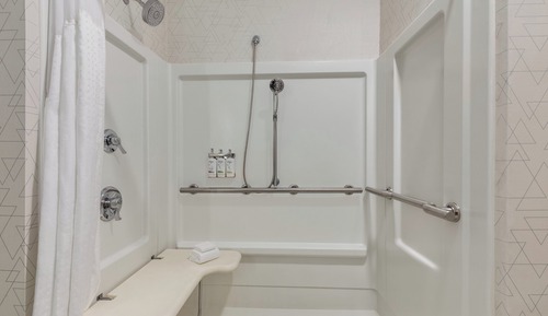 Standard Room, 1 King Bed, Accessible (Communications, Mobil, Roll-In Shower)