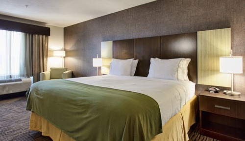 Suite, 1 King Bed with Sofa bed