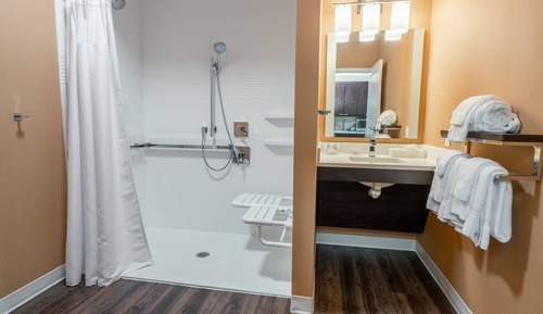 Studio, 1 King Bed with Sofa bed (Mobility Accessible, Roll-In Shower)
