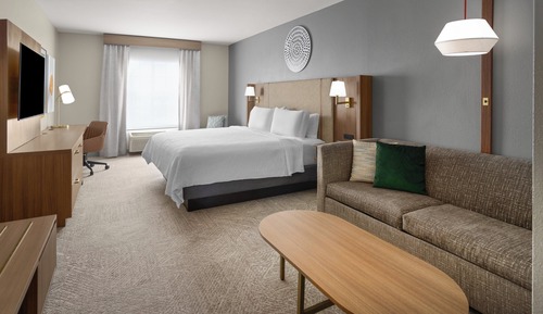 Standard Room, 1 King Bed with Sofa bed