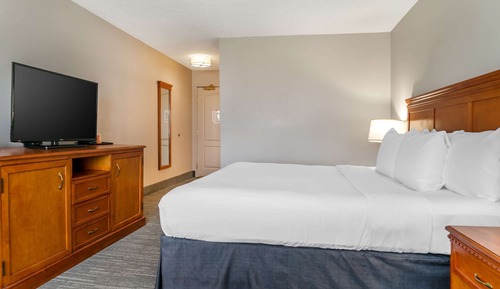 Room, 1 King Bed, Non Smoking